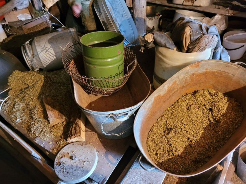Полицейские изъяли у жителя Курагинского района почти 8 кг конопли